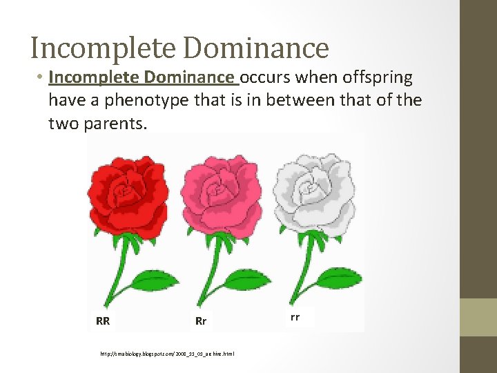 Incomplete Dominance • Incomplete Dominance occurs when offspring have a phenotype that is in