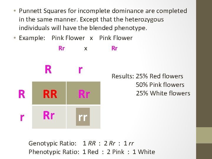  • Punnett Squares for incomplete dominance are completed in the same manner. Except