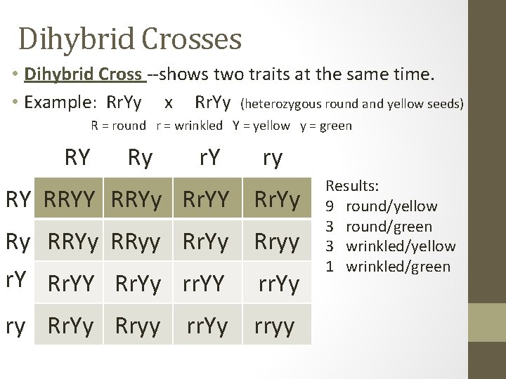 Dihybrid Crosses • Dihybrid Cross --shows two traits at the same time. • Example: