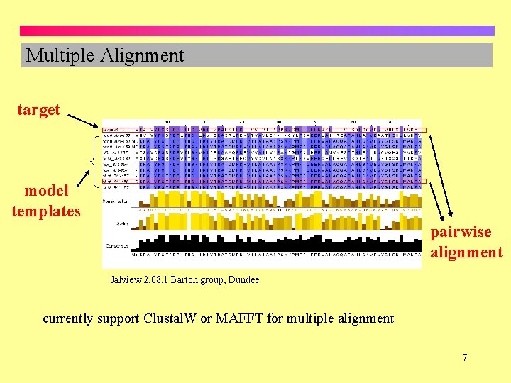 Multiple Alignment target model templates pairwise alignment Jalview 2. 08. 1 Barton group, Dundee