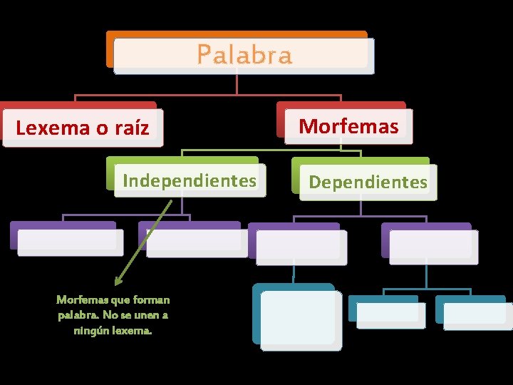 Palabra Lexema o raíz Independientes Morfemas que forman palabra. No se unen a ningún