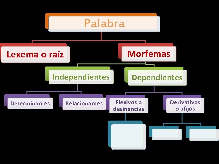 Palabra Morfemas Lexema o raíz Independientes Determinantes Relacionantes Dependientes Flexivos o desinencias Derivativos o