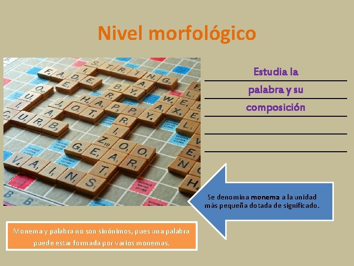 Nivel morfológico Estudia la palabra y su composición Se denomina monema a la unidad