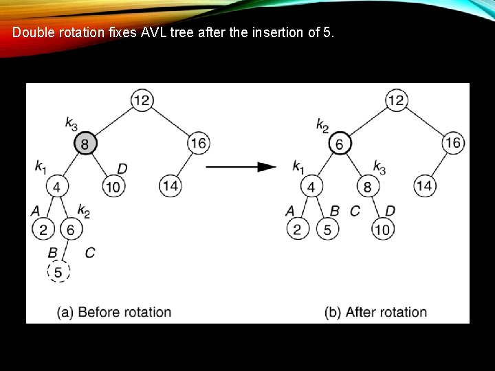 Double rotation fixes AVL tree after the insertion of 5. 