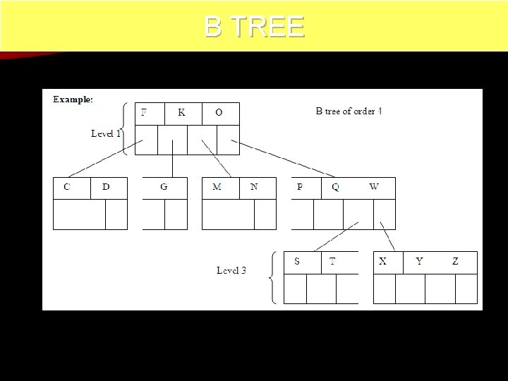 B TREE 65 