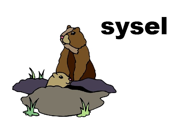 sysel 