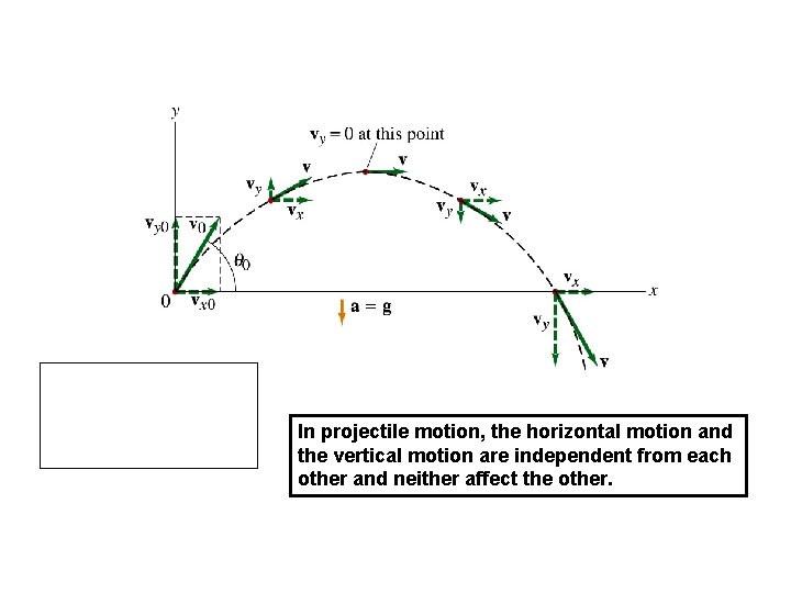 In projectile motion, the horizontal motion and the vertical motion are independent from each