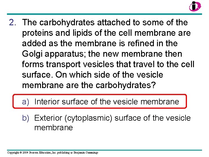 2. The carbohydrates attached to some of the proteins and lipids of the cell