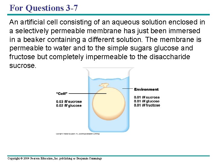 For Questions 3 -7 An artificial cell consisting of an aqueous solution enclosed in