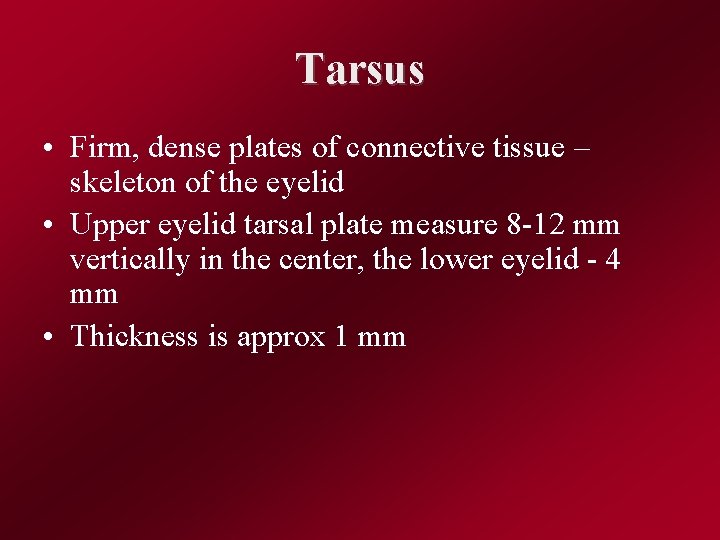 Tarsus • Firm, dense plates of connective tissue – skeleton of the eyelid •