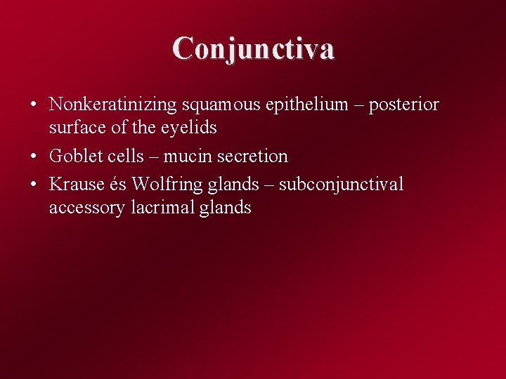 Conjunctiva • Nonkeratinizing squamous epithelium – posterior surface of the eyelids • Goblet cells