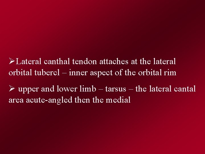 ØLateral canthal tendon attaches at the lateral orbital tubercl – inner aspect of the