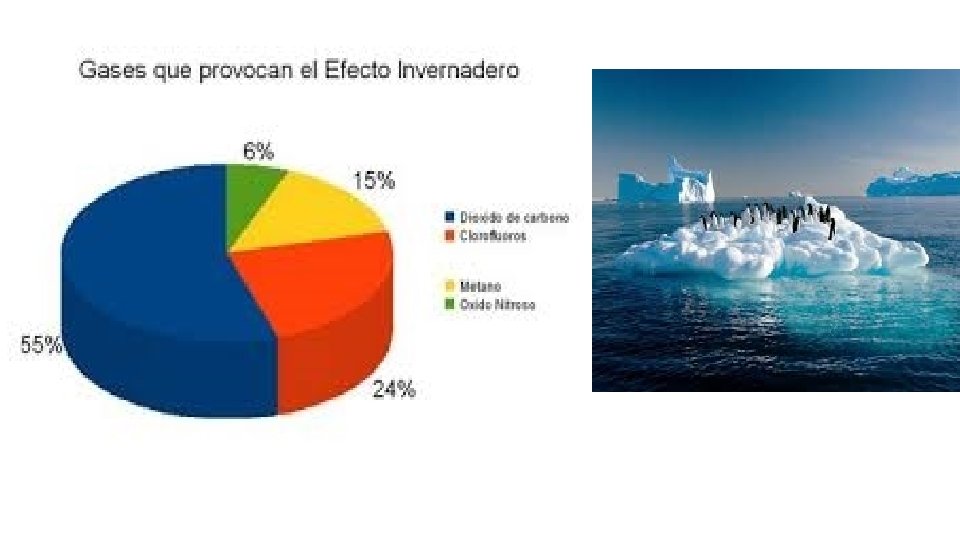 Cambio climtico y su efecto en la Biodiversidad
