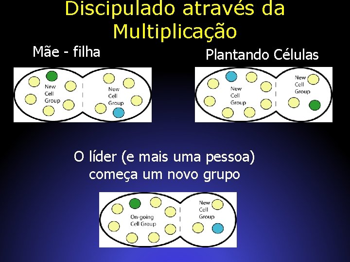 Discipulado através da Multiplicação Mãe - filha Plantando Células O líder (e mais uma