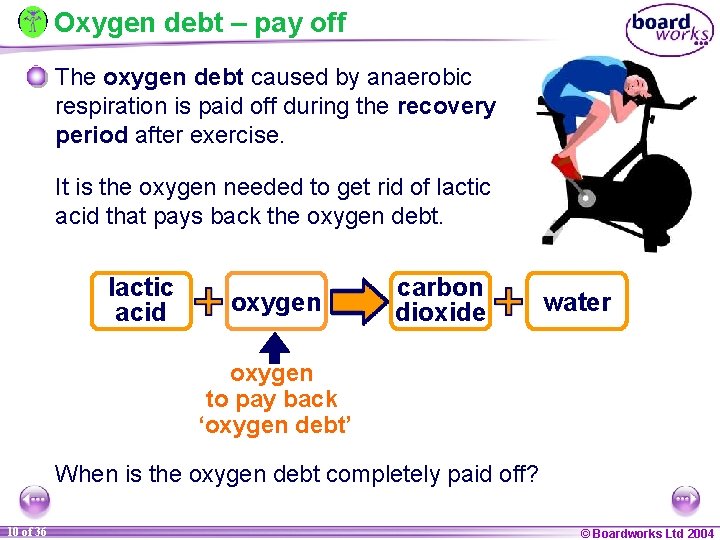 Oxygen debt – pay off The oxygen debt caused by anaerobic respiration is paid