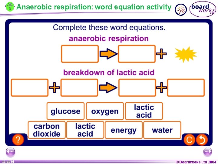 Anaerobic respiration: word equation activity 11 of 36 © Boardworks Ltd 2004 