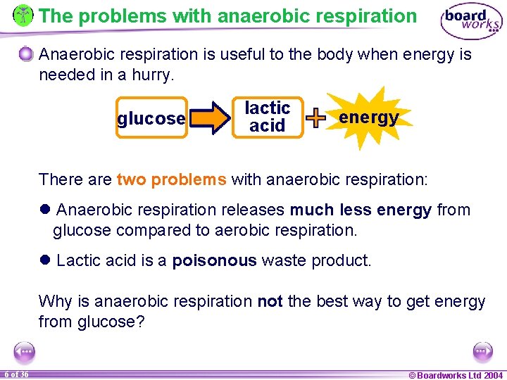 The problems with anaerobic respiration Anaerobic respiration is useful to the body when energy