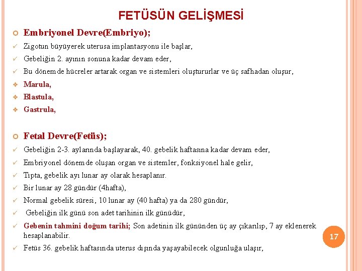 FETÜSÜN GELİŞMESİ Embriyonel Devre(Embriyo); ü Zigotun büyüyerek uterusa implantasyonu ile başlar, ü Gebeliğin 2.