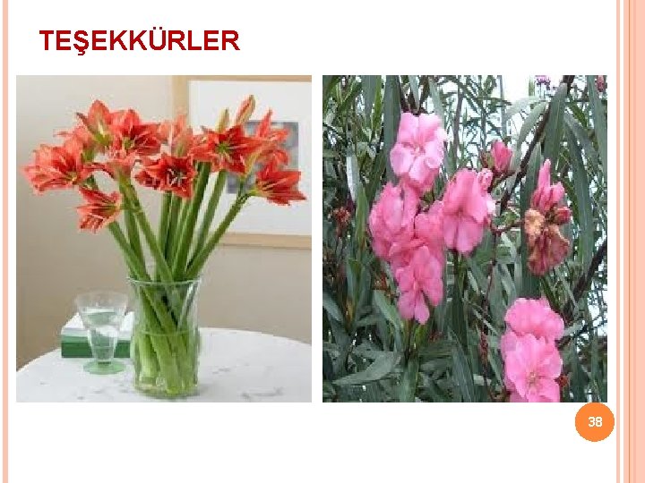 TEŞEKKÜRLER 38 