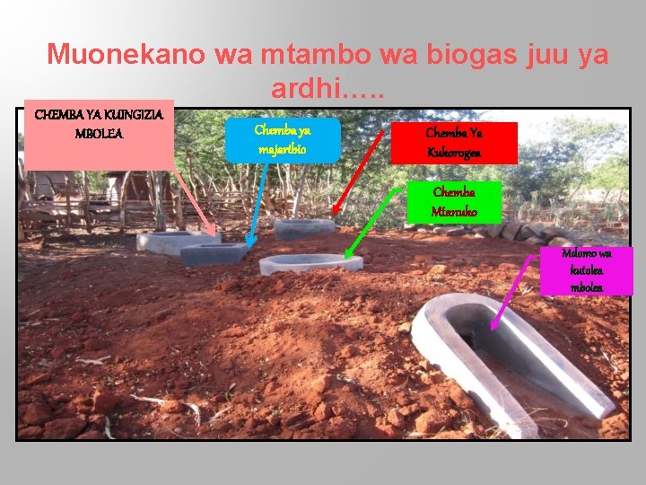 Muonekano wa mtambo wa biogas juu ya ardhi…. . CHEMBA YA KUINGIZIA MBOLEA Chemba