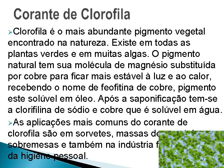  Clorofila é o mais abundante pigmento vegetal encontrado na natureza. Existe em todas