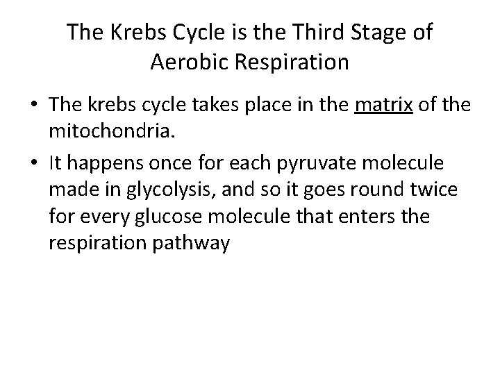 The Krebs Cycle is the Third Stage of Aerobic Respiration • The krebs cycle