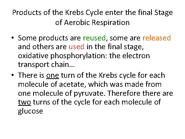 Products of the Krebs Cycle enter the final Stage of Aerobic Respiration • Some