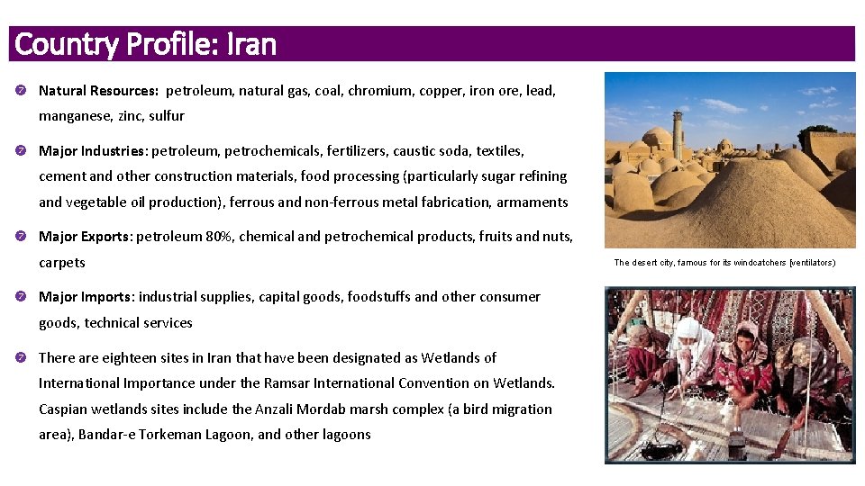 Country Profile: Iran Natural Resources: petroleum, natural gas, coal, chromium, copper, iron ore, lead,