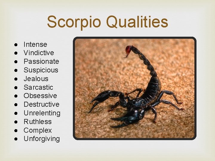 Scorpio Qualities ● ● ● Intense Vindictive Passionate Suspicious Jealous Sarcastic Obsessive Destructive Unrelenting