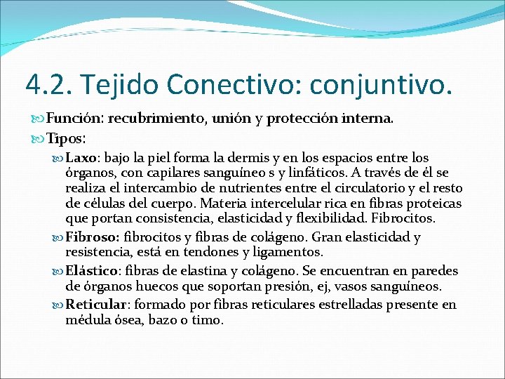 4. 2. Tejido Conectivo: conjuntivo. Función: recubrimiento, unión y protección interna. Tipos: Laxo: bajo