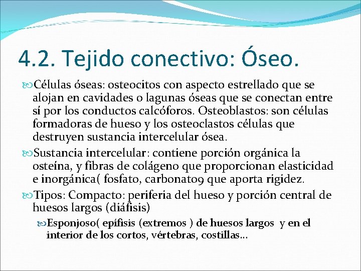 4. 2. Tejido conectivo: Óseo. Células óseas: osteocitos con aspecto estrellado que se alojan