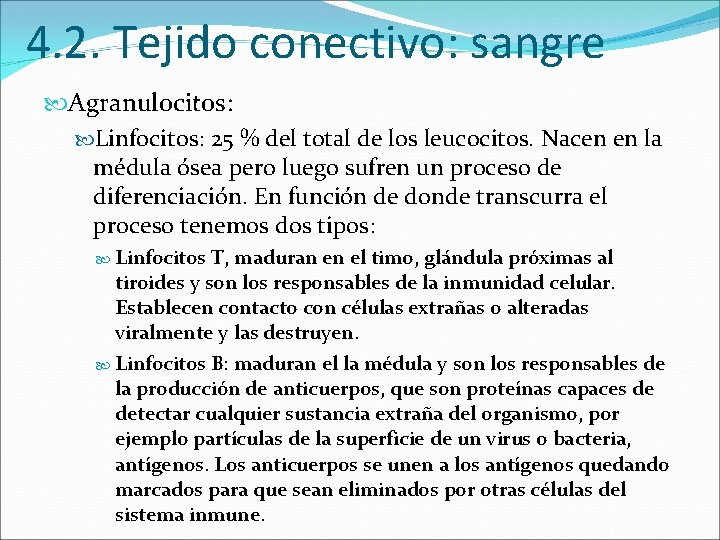 4. 2. Tejido conectivo: sangre Agranulocitos: Linfocitos: 25 % del total de los leucocitos.