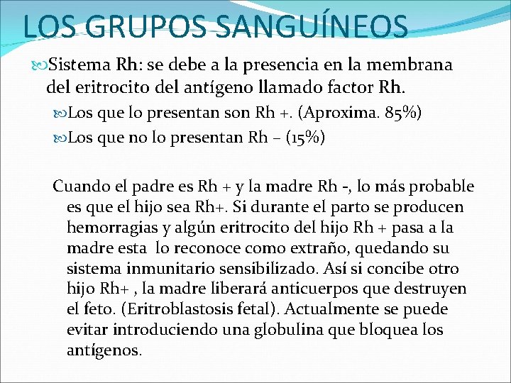LOS GRUPOS SANGUÍNEOS Sistema Rh: se debe a la presencia en la membrana del