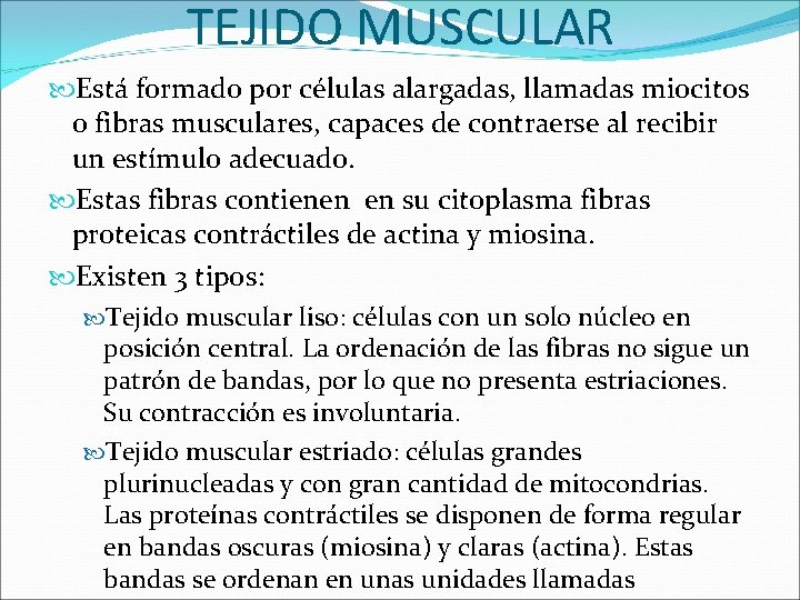 TEJIDO MUSCULAR Está formado por células alargadas, llamadas miocitos o fibras musculares, capaces de