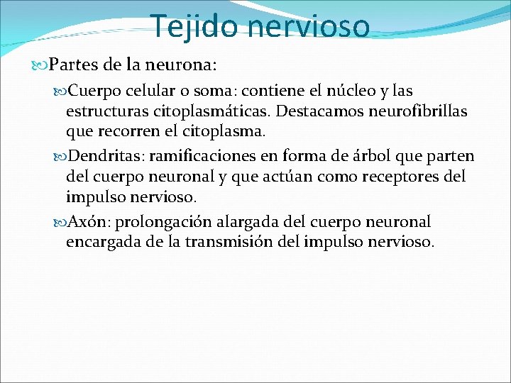 Tejido nervioso Partes de la neurona: Cuerpo celular o soma: contiene el núcleo y