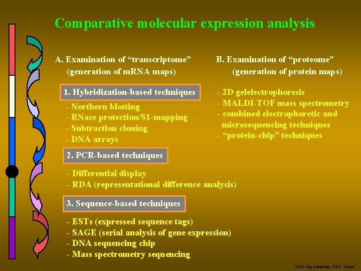 Comparative molecular expression analysis A. Examination of “transcriptome” (generation of m. RNA maps) 1.