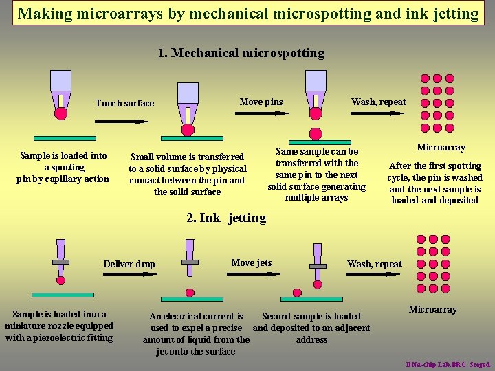 Making microarrays by mechanical microspotting and ink jetting 1. Mechanical microspotting Touch surface Sample