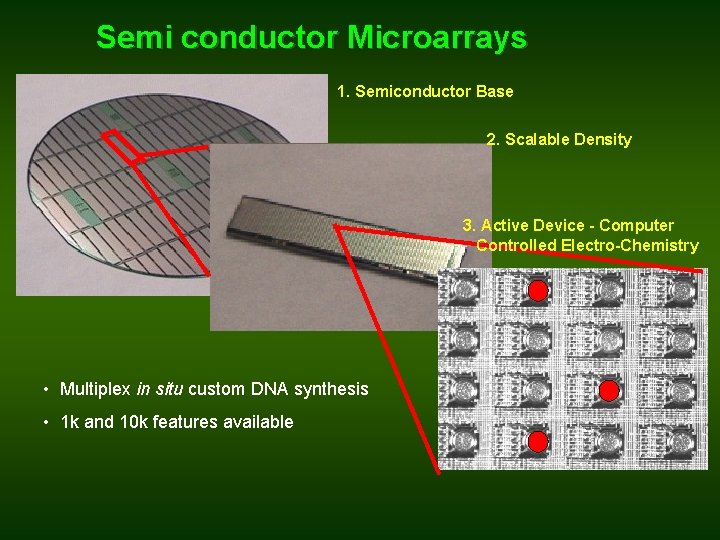 Semi conductor Microarrays 1. Semiconductor Base 2. Scalable Density 3. Active Device - Computer