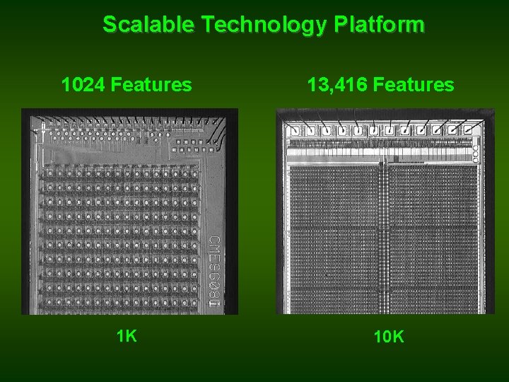 Scalable Technology Platform 1024 Features 1 K 13, 416 Features 10 K 