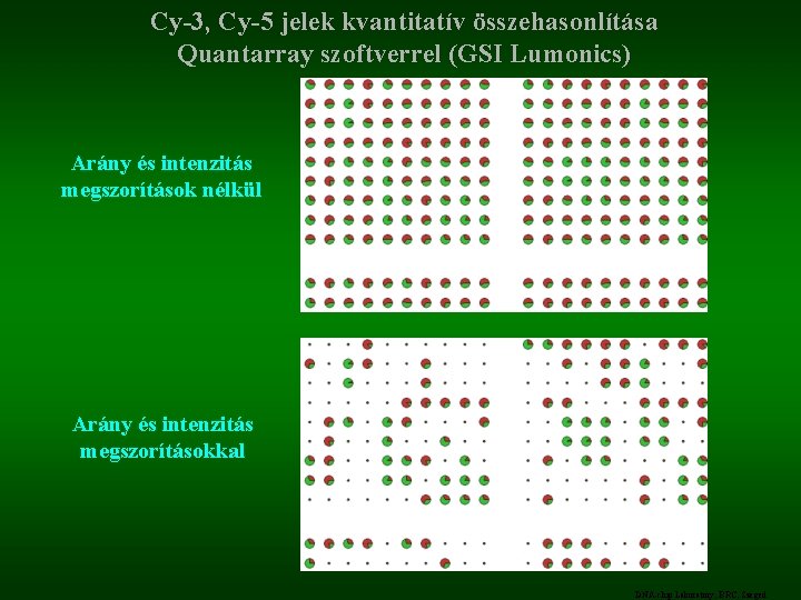 Cy-3, Cy-5 jelek kvantitatív összehasonlítása Quantarray szoftverrel (GSI Lumonics) Arány és intenzitás megszorítások nélkül
