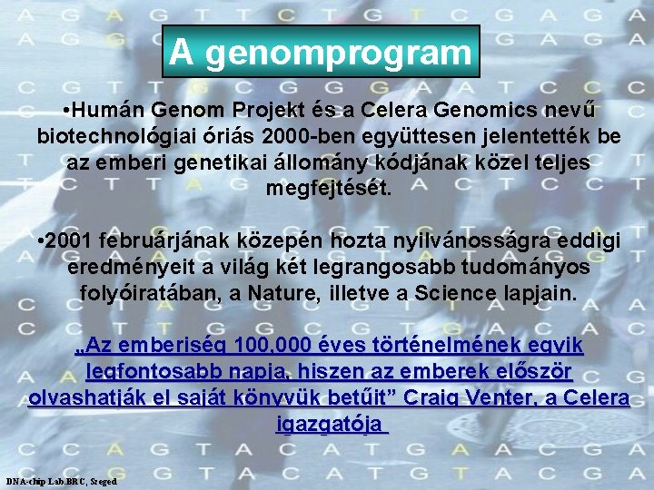 A genomprogram • Humán Genom Projekt és a Celera Genomics nevű biotechnológiai óriás 2000