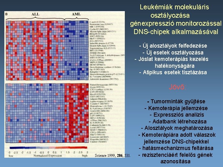 Leukémiák molekuláris osztályozása génexpresszió monitorozással DNS-chipek alkalmazásával - Új alosztályok felfedezése - Új esetek