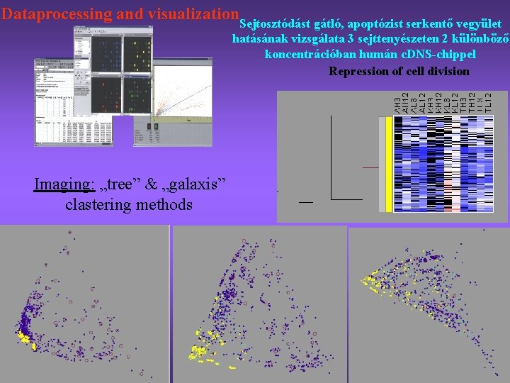 Dataprocessing and visualization Sejtosztódást gátló, apoptózist serkentő vegyület hatásának vizsgálata 3 sejttenyészeten 2 különböző