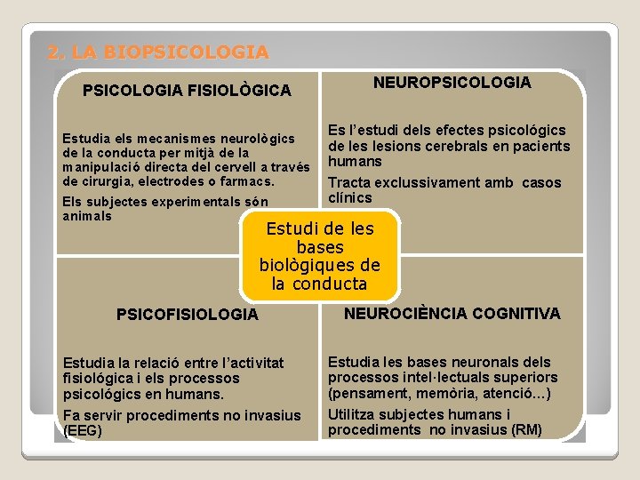 2. LA BIOPSICOLOGIA FISIOLÒGICA Estudia els mecanismes neurològics de la conducta per mitjà de