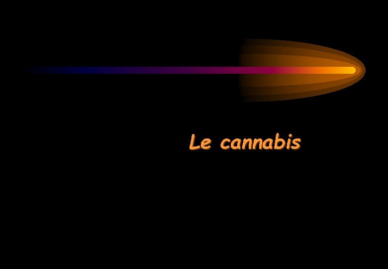 Le cannabis 