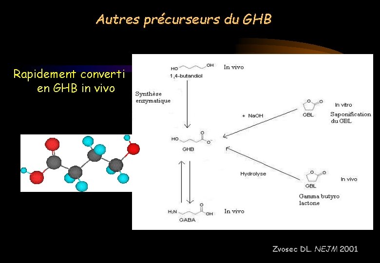 Autres précurseurs du GHB Rapidement converti en GHB in vivo Zvosec DL. NEJM 2001