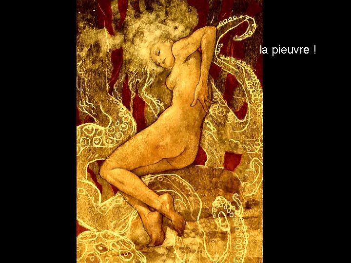la pieuvre ! 