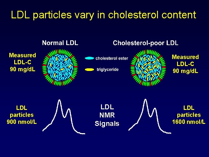 LDL particles vary in cholesterol content Measured LDL-C 90 mg/d. L LDL particles 900