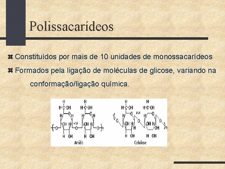 Polissacarídeos Constituídos por mais de 10 unidades de monossacarídeos Formados pela ligação de moléculas