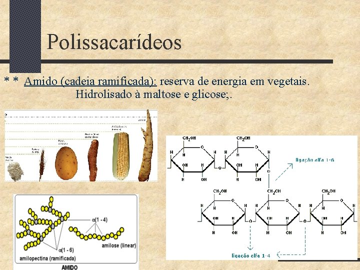 Polissacarídeos * * Amido (cadeia ramificada): reserva de energia em vegetais. Hidrolisado à maltose